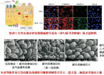 改善仔猪肠道健康的无抗饲粮配制技术.jpg