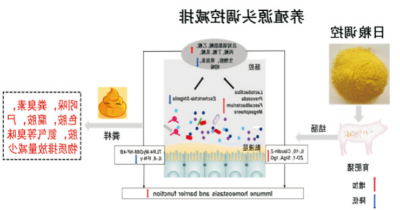 臭气减排和粪污处理技术 (2).jpg