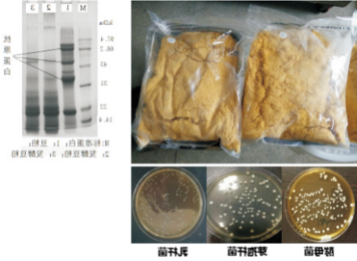 优质生物发酵饲料高效稳定化生产技术.jpg