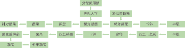 果蔬发酵制品加工技术 (1).jpg