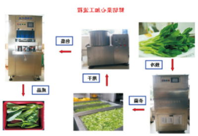 果蔬鲜切加工技术.jpg